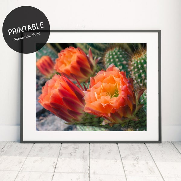 Home Decor Refresh Cactus Flor Imprimible Descarga Instantánea, DIY Art Print, Foto Imprimible, Cactus Art Print, Decoración de casa del Suroeste