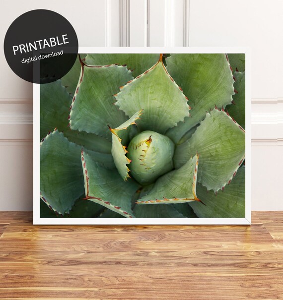 Southwest Agave Printable Instant Download DIY Art Print | Etsy