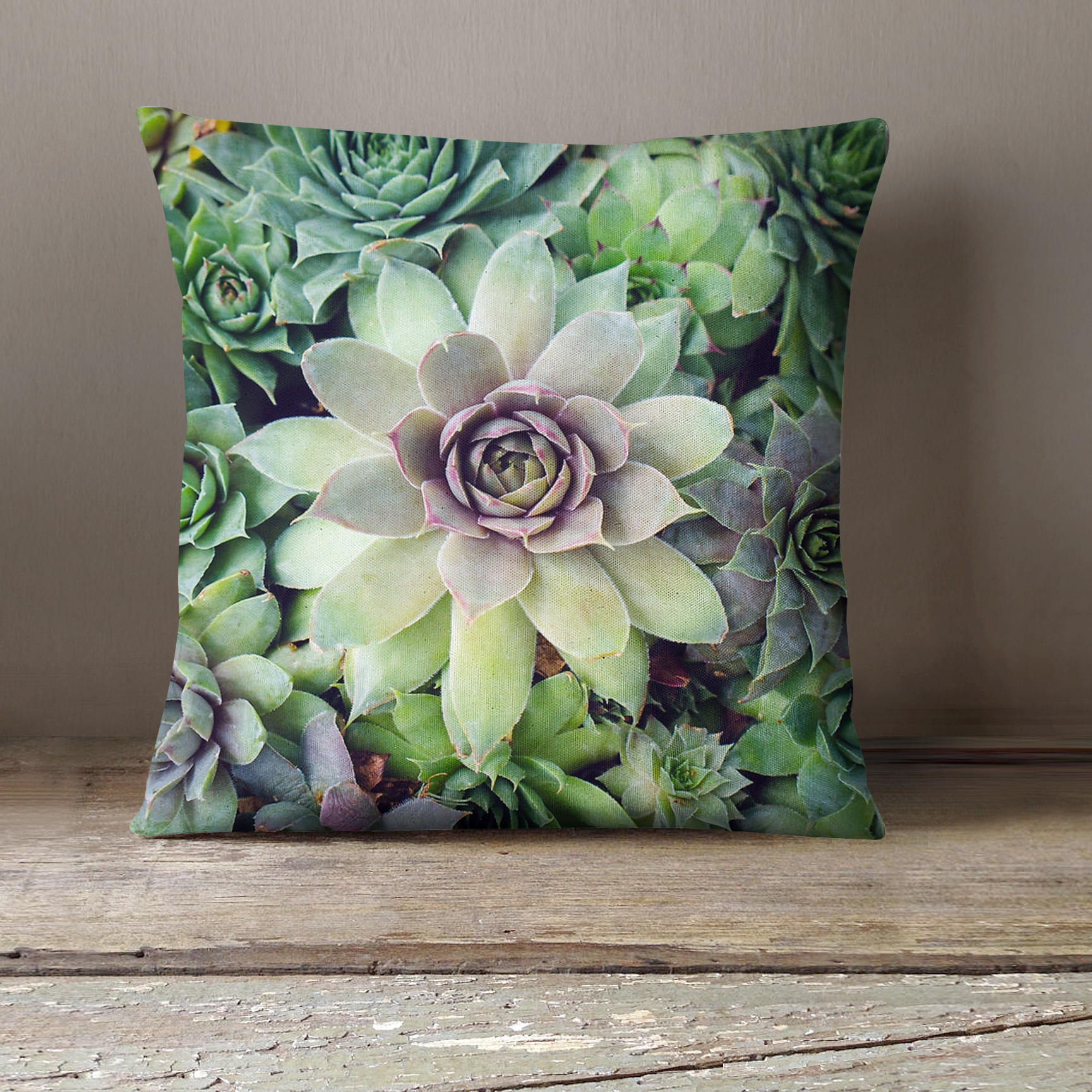 Dorm Decor Succulent Pillow Cover Succulent Pillow Fine Art Etsy