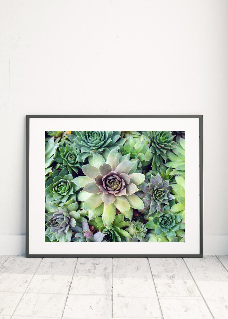 Printable Succulent Garden Wall Art Home Decor Refresh Etsy