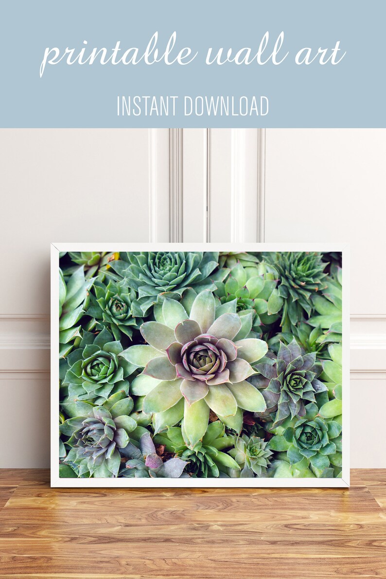 Printable Succulent Garden Wall Art Home Decor Refresh Etsy