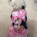 Small Breed Dogs Minnie Mouse printed sweater, Minnie Mouse fleece sweater, Minnie fleece shirts