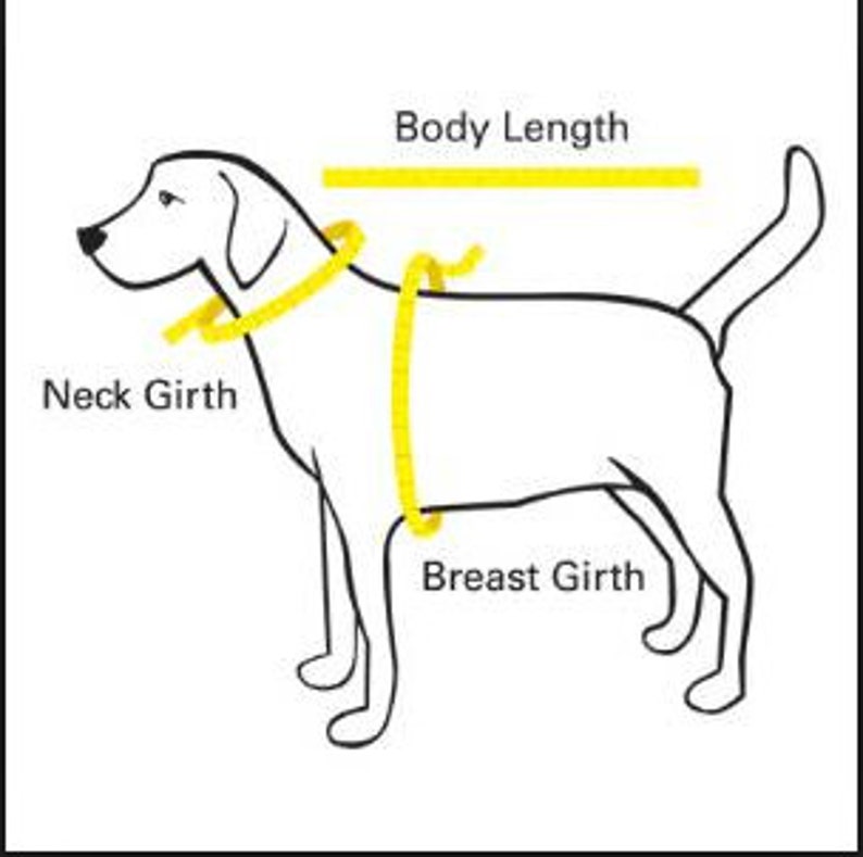 Dog Harness Christmas Snow Man Dog Vest Harness.dog Vest Etsy