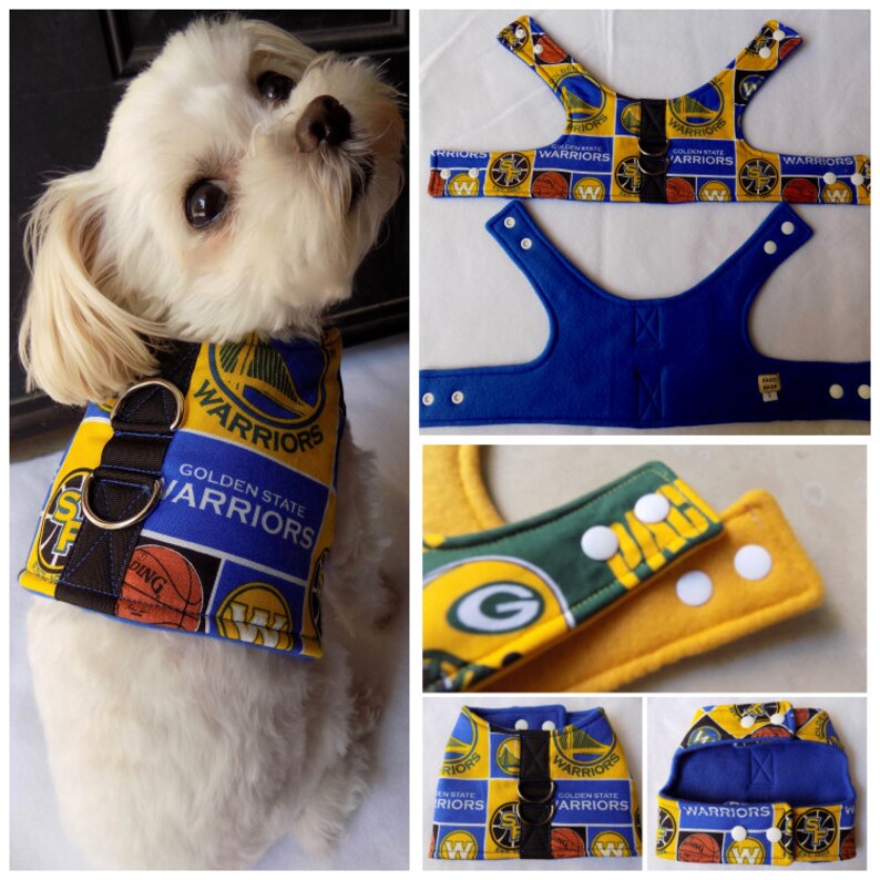golden state dog jersey