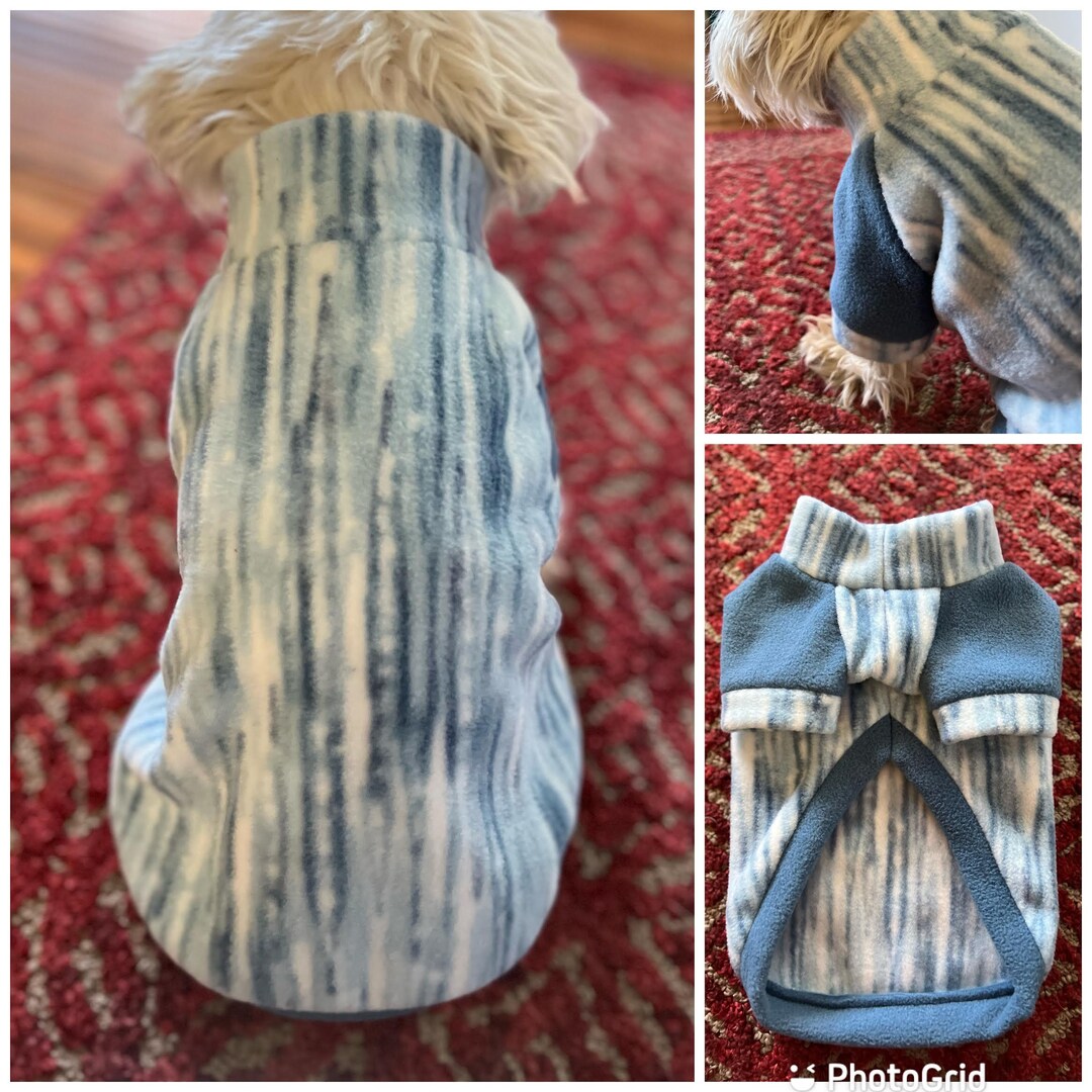 SMALL DOG - Polo Neck Sweater - Baby Blue Stripe main image 1