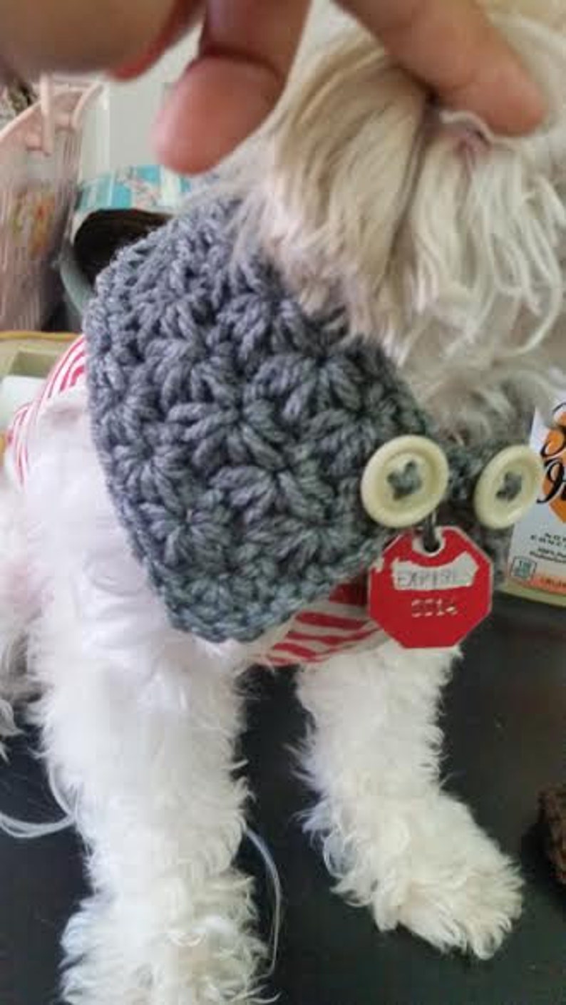 Crocheted Puppy /dog neck warmer/scarf , dog scarf, Choose from 7 colors, Fits most XS ,S or M dogs image 2