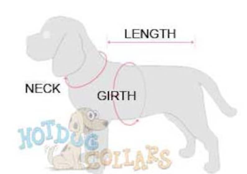 Leopard Print Dog Sweater Small Breed Dog Sweater Leopard Etsy