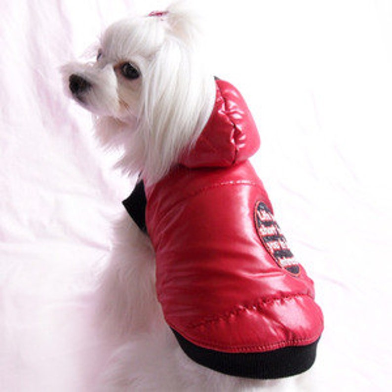 Red Puffy Jacket for Small Dog size S LAST ONE Etsy