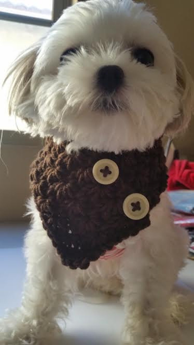 Crocheted Small Dog neck warmer, dog scarf, Puppy scarf fits most S or M dogs image 3
