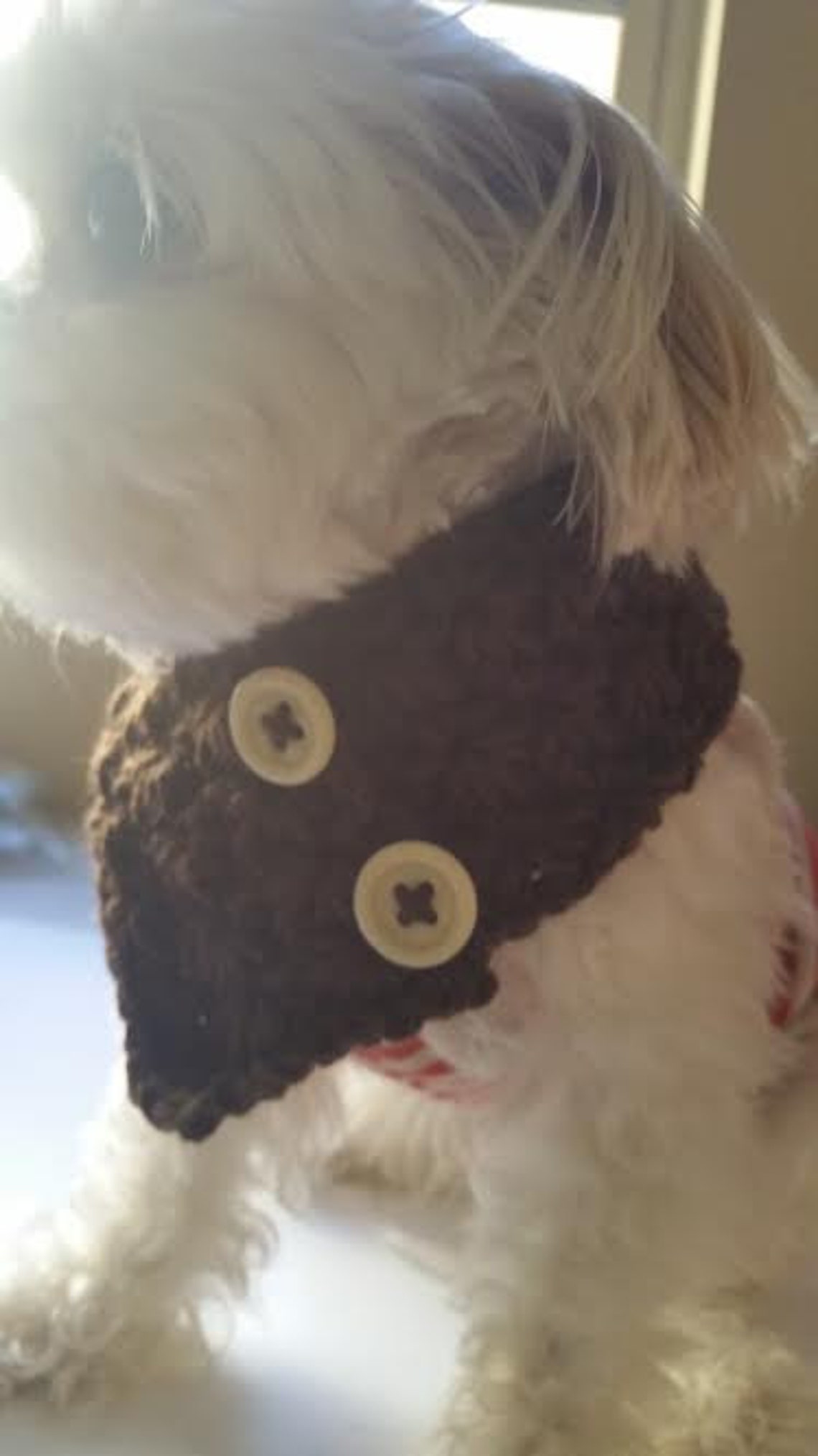 Crocheted Small Dog Neck Warmer Dog Scarf Puppy Scarf Fits Etsy