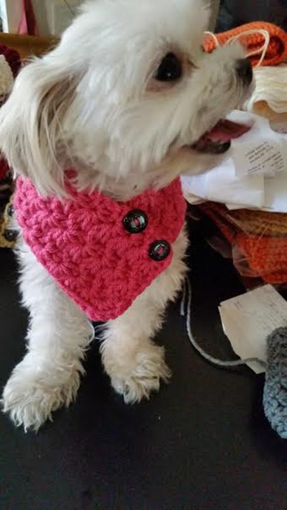 Sciarpe Per Animali Domestici - Confezione Da 2, In Modale, Bianche, 42x42x62cm - Foto 5