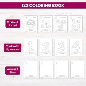 May include: A 123 Coloring Book featuring three distinct page layouts. Version 1 includes illustrations of a sun, elephants, donuts, and cats. Version 2 displays large numbers with patterns. Version 3 provides blank spaces for numbers one through four.