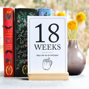 Pregnancy Milestone Cards by Duncan & Stone | Baby Announcement | Expecting Mom Gift Box | Family Shower Present | Gift for Mother to Be | Photo Props