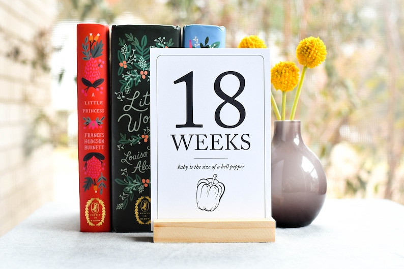 Pregnancy Milestone Cards by Duncan & Stone | Baby Announcement | Expecting Mom Gift Box | Family Shower Present | Gift for Mother to Be | Photo Props