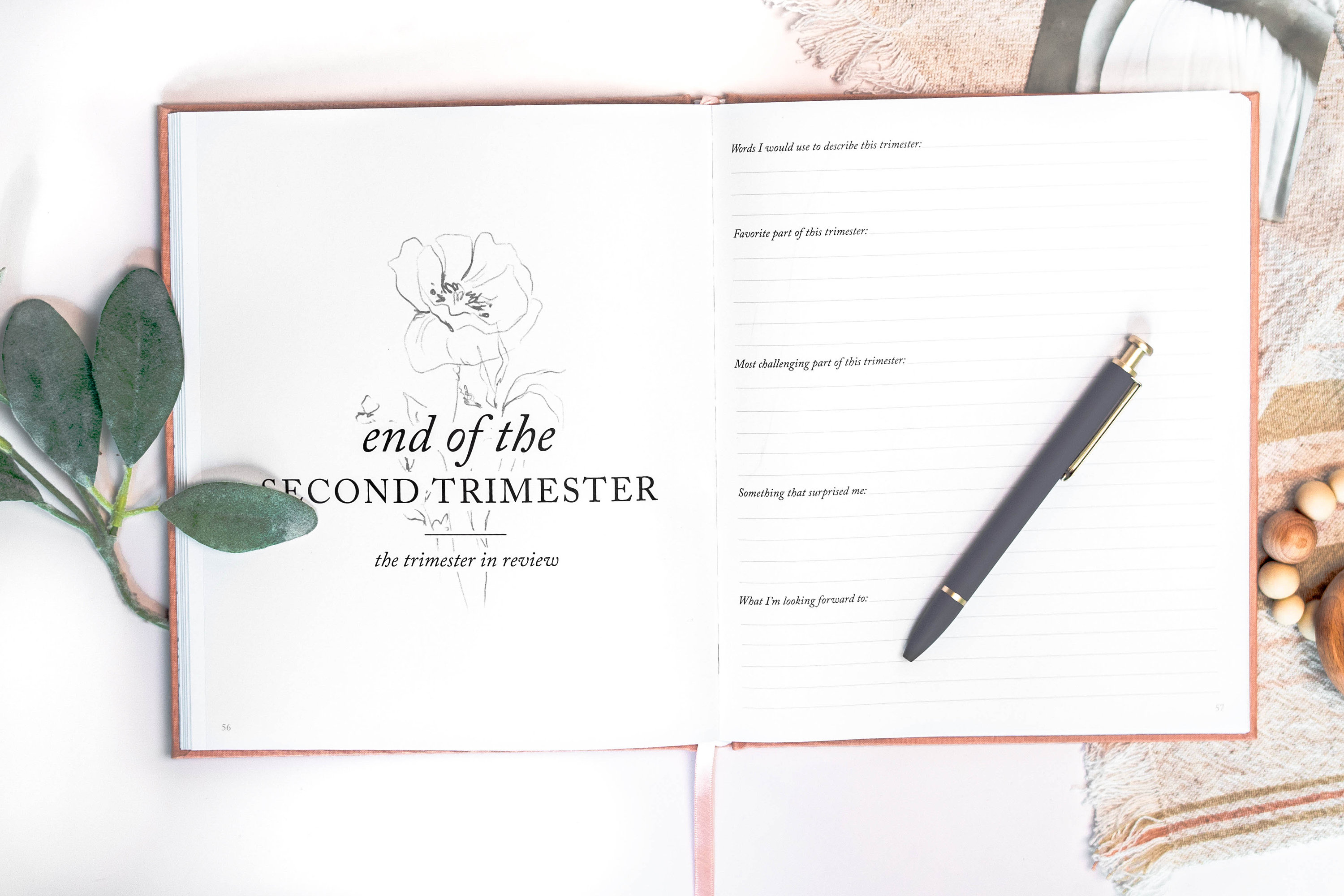 Pregnancy Journal and Planner | Expecting Mom Gift | Pregnancy Gift for First Time Mom | Mom to Be Gift Reveal | Weekly Pregnancy Diary