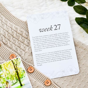 Pregnancy Prayer Cards: Weekly Faith Prompts (Gender Neutral, Printed Set) image 6
