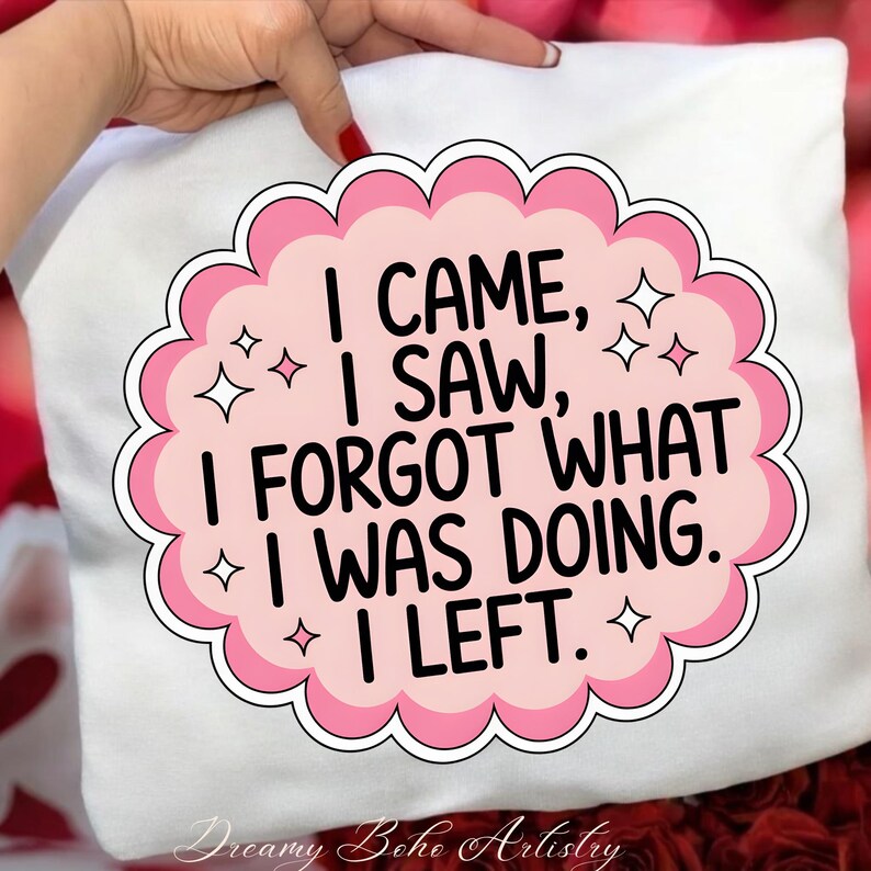 May include: White pillow with a pink and white graphic that reads "I CAME, I SAW, I FORGOT WHAT I WAS DOING. I LEFT." The design includes a scalloped border and star accents. The words "Dreamy Boho Artistry" are at the bottom.