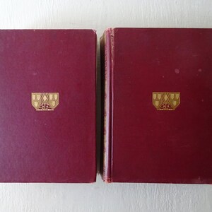 antique art books, Outlines of the History of Art, Lubke&#39;s History of Art, 1904, 2 volumes, illustrated, from Diz Has Neat Stuff