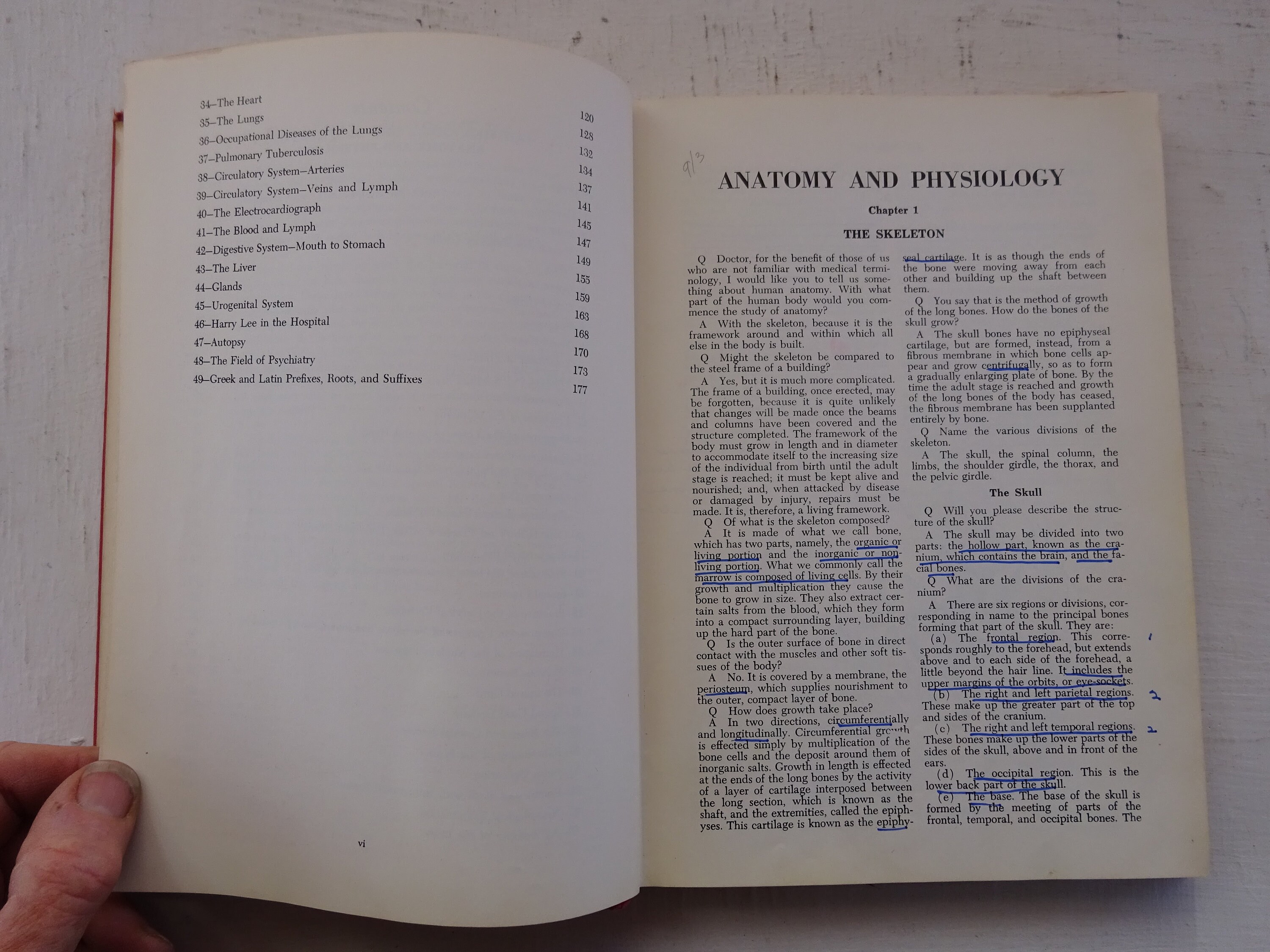 Vintage Red Book Set, Shorthand Professional Education