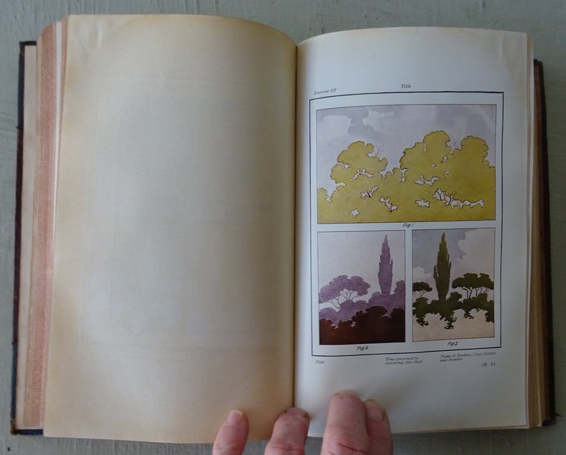 May include: A book page with illustrations of trees. The first image shows a group of trees with a light blue sky in the background. The second image shows two trees, one with a purple hue and the other with a green hue. The text on the page reads "Fig. 1" and "Fig. 2".
