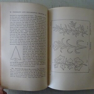 May include: A black and white illustration of a botanical drawing showing the stem and leaves of a plant. The leaves are triangular and have a slight indentation at the bottom. The stem has a small knob where the leaves branch off.