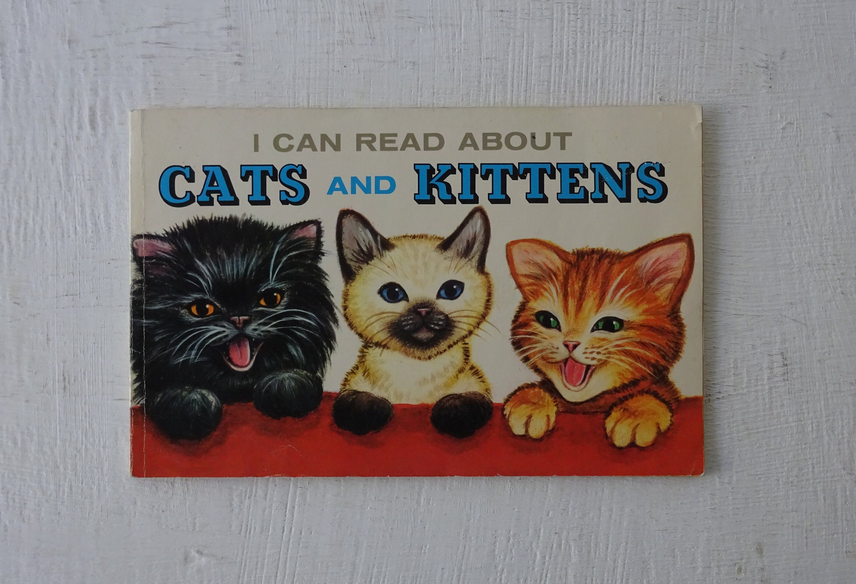 Vintage Children's Book, I Can Read About Cats and Kittens
