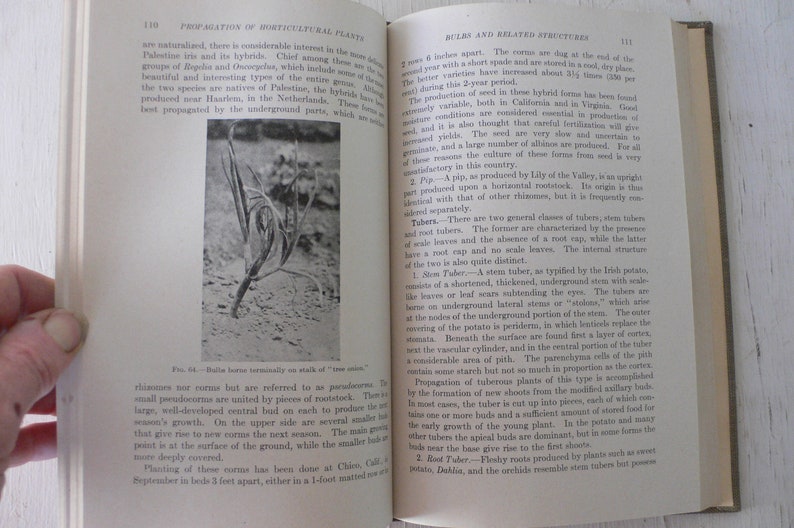 Vintage Textbook Propagation of Horticultural Plants 1939 Etsy