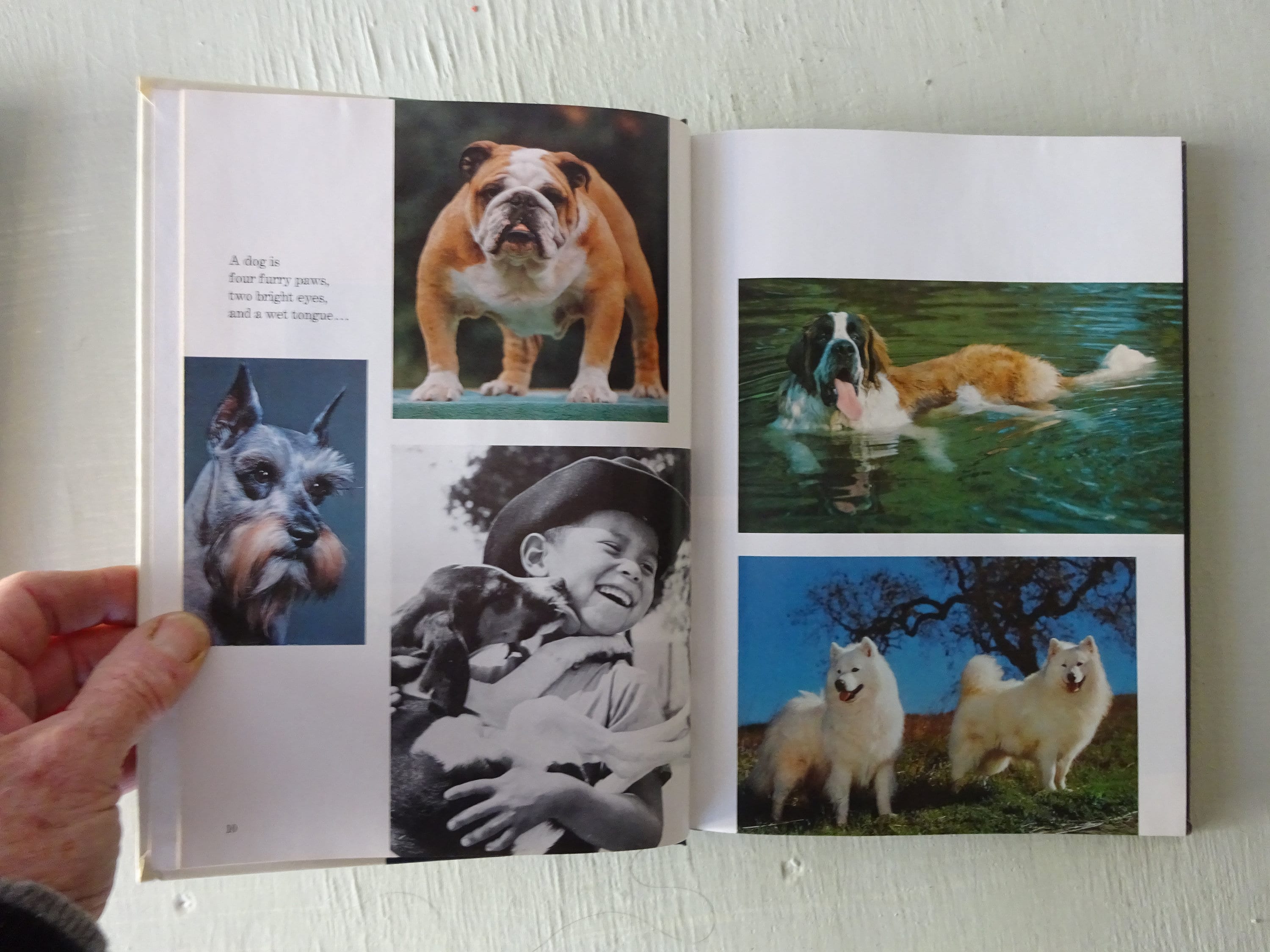 Vintage Childcraft Annual Books: 1970s MCM Decor, Set of 6 - Etsy