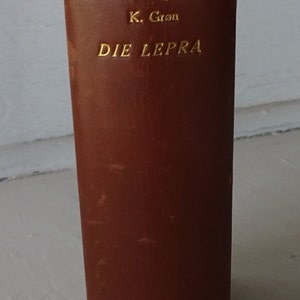 vintage medical book, The Leprosy, Die Lepra, German language, leather bound, 1930, rare, illustrated, from Diz Has Neat Stuff image 2