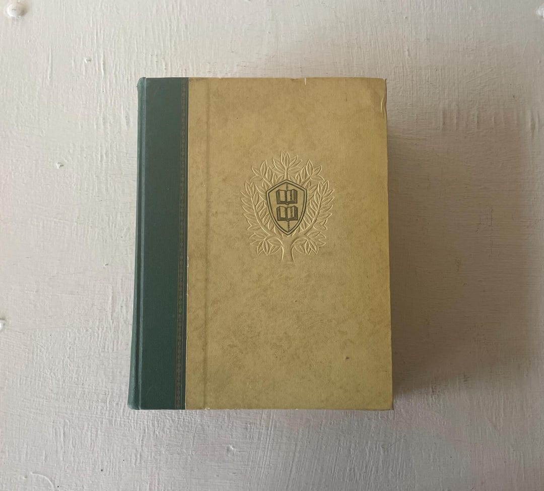 il_1080xN.6716056996_sajk.jpg