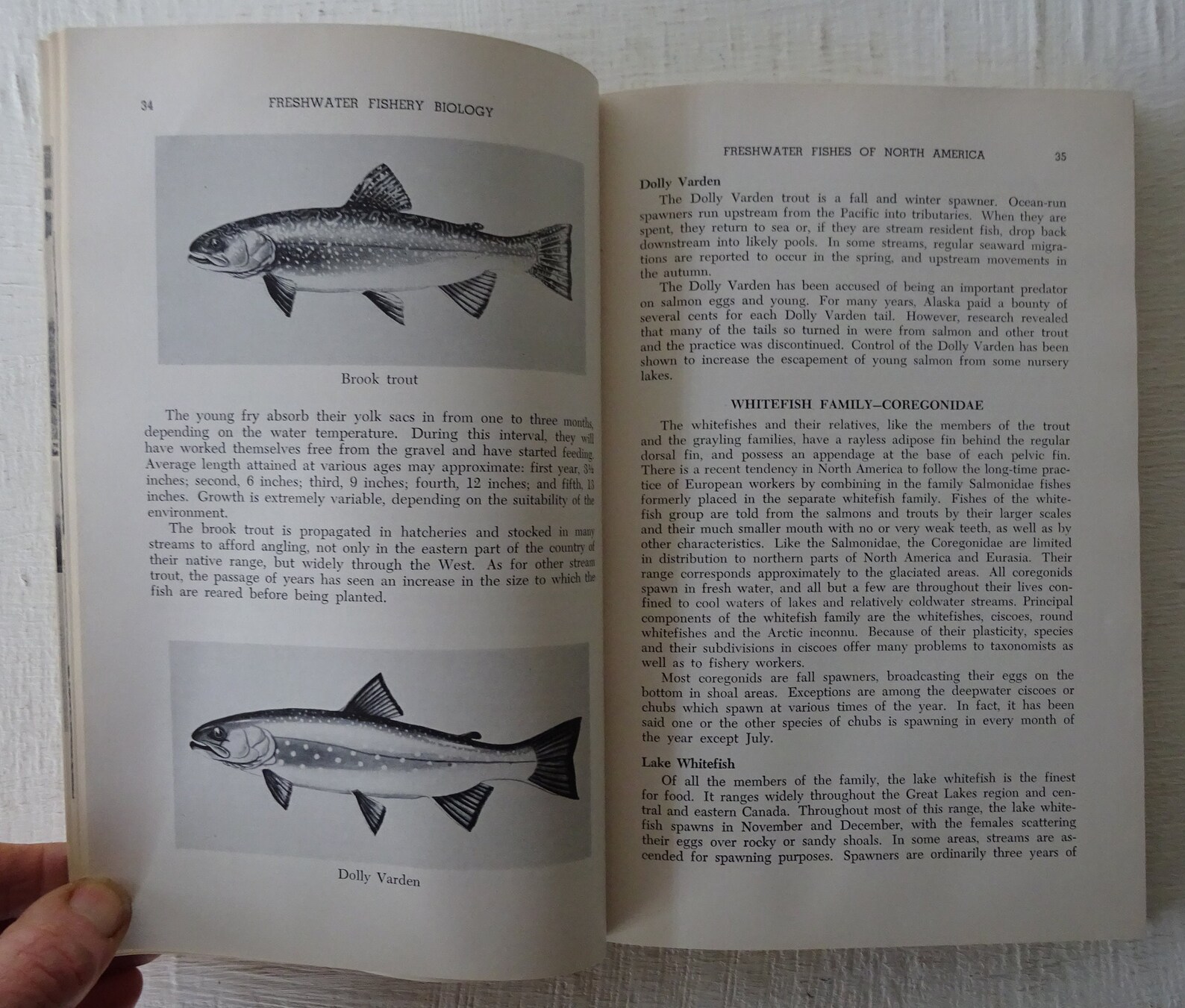 Vintage Book Freshwater Fishery Biology Karl Lagler 1956 Etsy