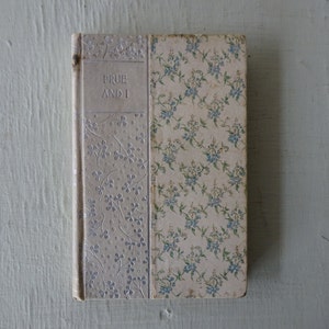 antique book, Prue and I, George William Curtis, Henneberry Company, free shipping, from Diz Has Neat Stuff