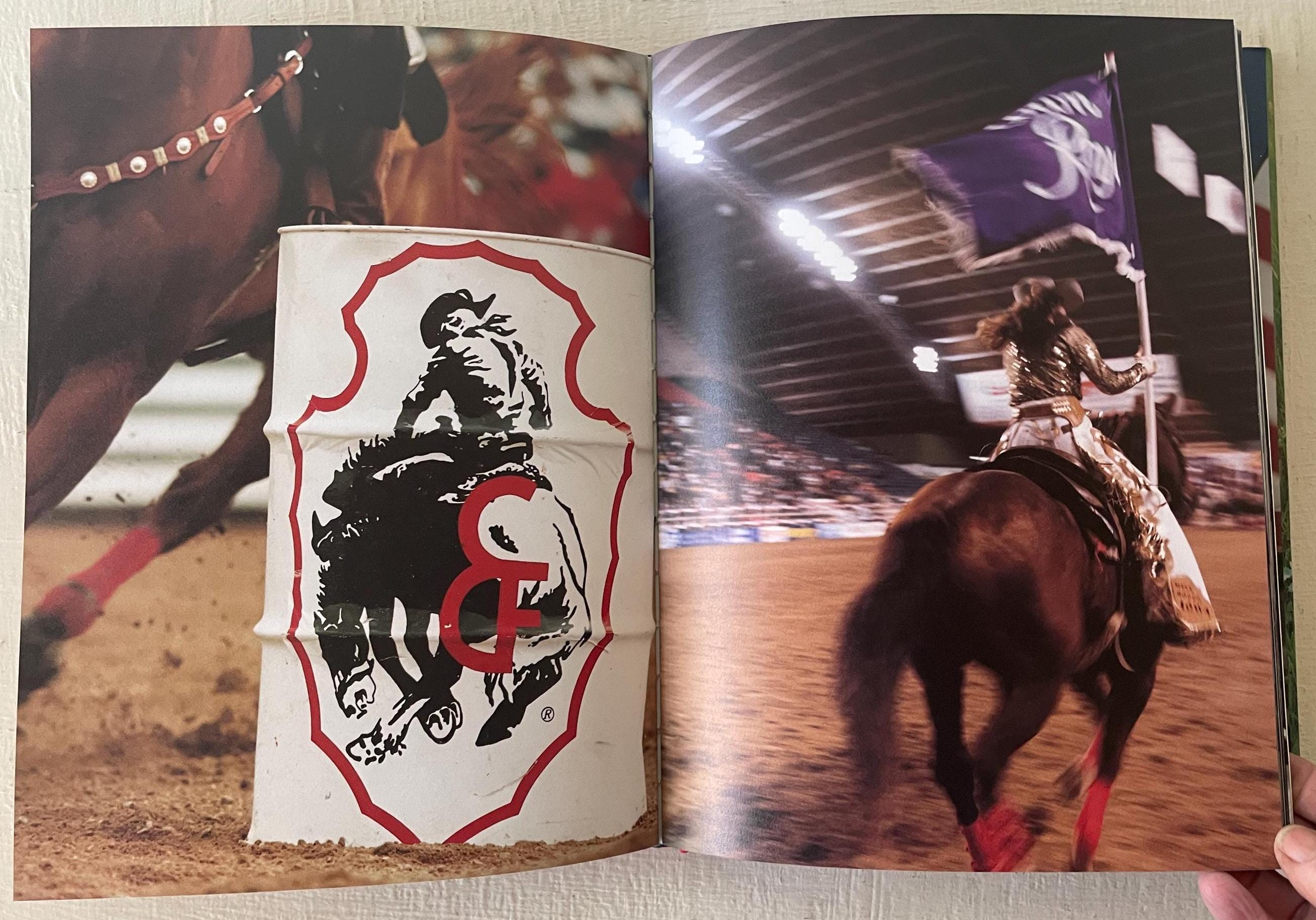 Rodeo Girl by Lisa Eisner ハードカバー Rodeo Girl by Lisa Eisner: Fine Hardcover (1999) 1st Edition
