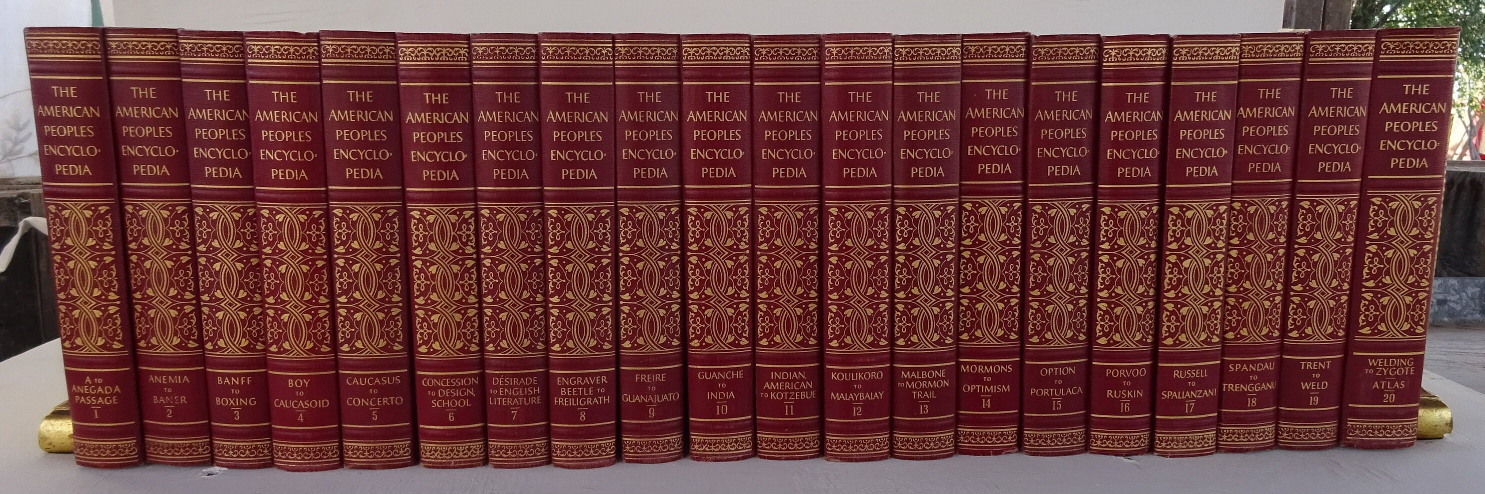 Vintage Encyclopedias, the American Peoples, 1956, 20 Volumes, MCM Decor, Library Filler, Free Shipping, From Diz Has Neat Stuff - Etsy Vintage Encyclopedias, the American Peoples, 1956, 20 Volumes, MCM Decor, Library Filler, Free Shipping, From Diz Has Neat Stuff - Etsy