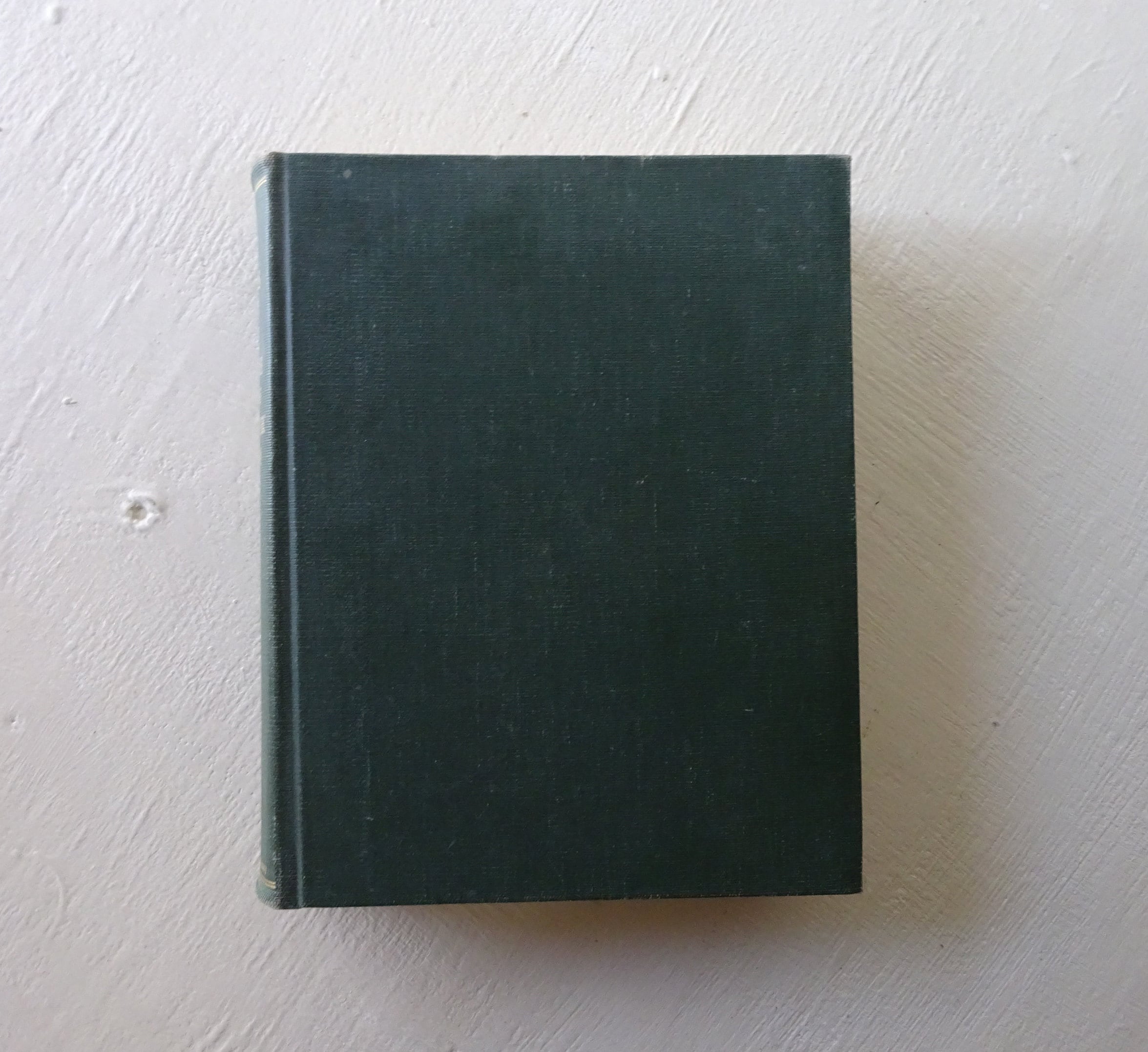 math.tページ Understanding Algebra I - Math - Timberdoodle Co