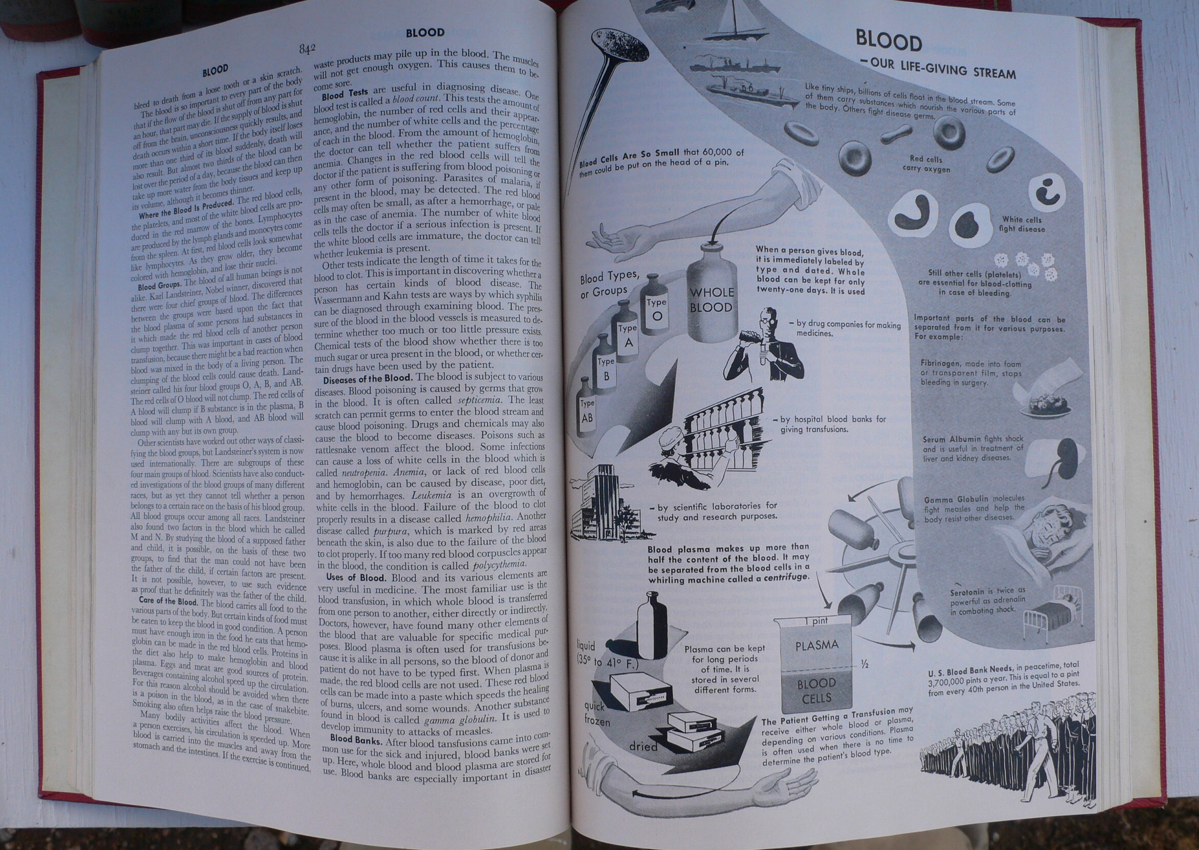 Vintage World Book Encyclopedia Set: 1953-1961, 22 Volumes - Etsy