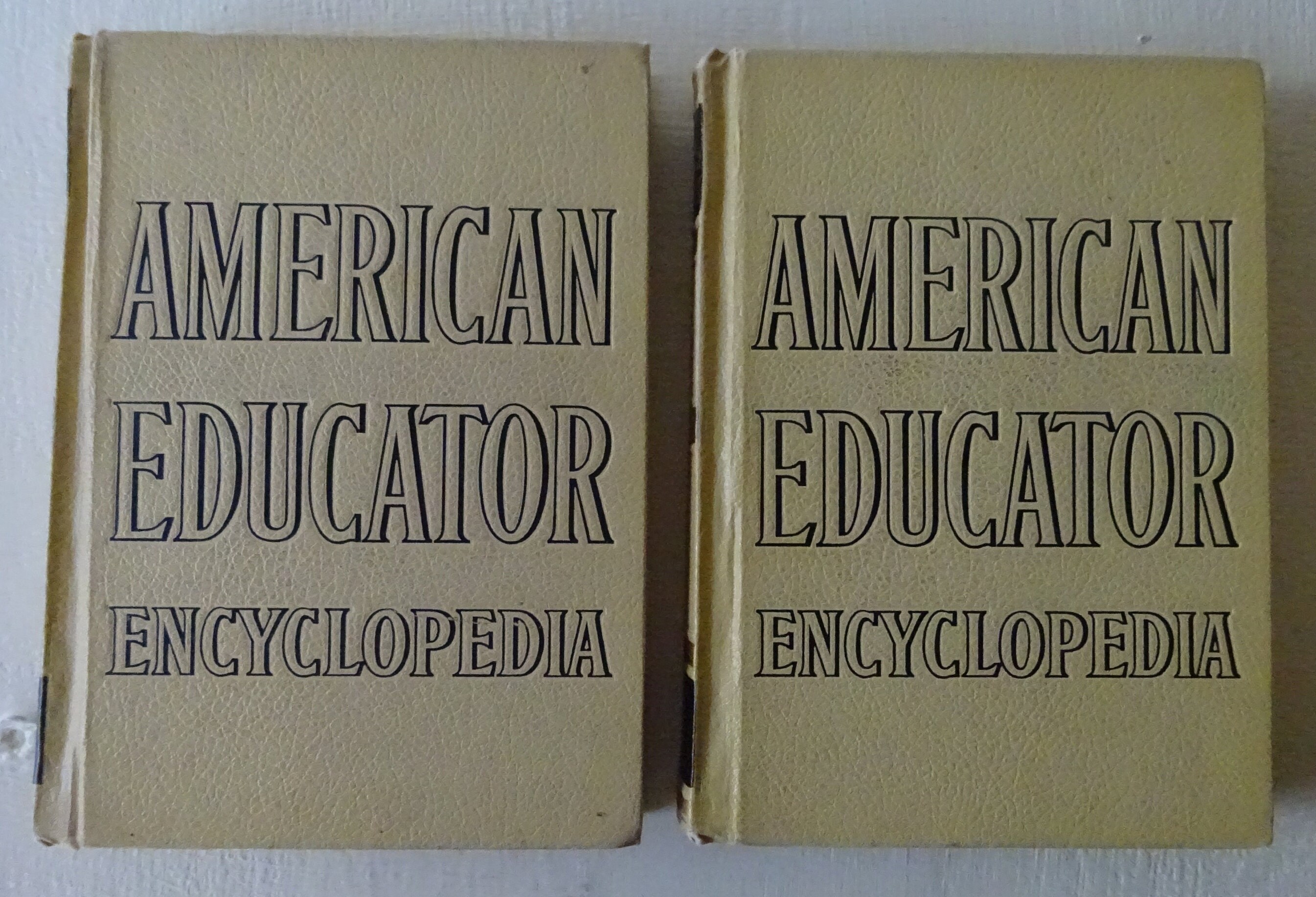 語学・辞書・学習参考書 American Educator Encyclopedia The American Educator Encyclopedia 1956 Complete Set