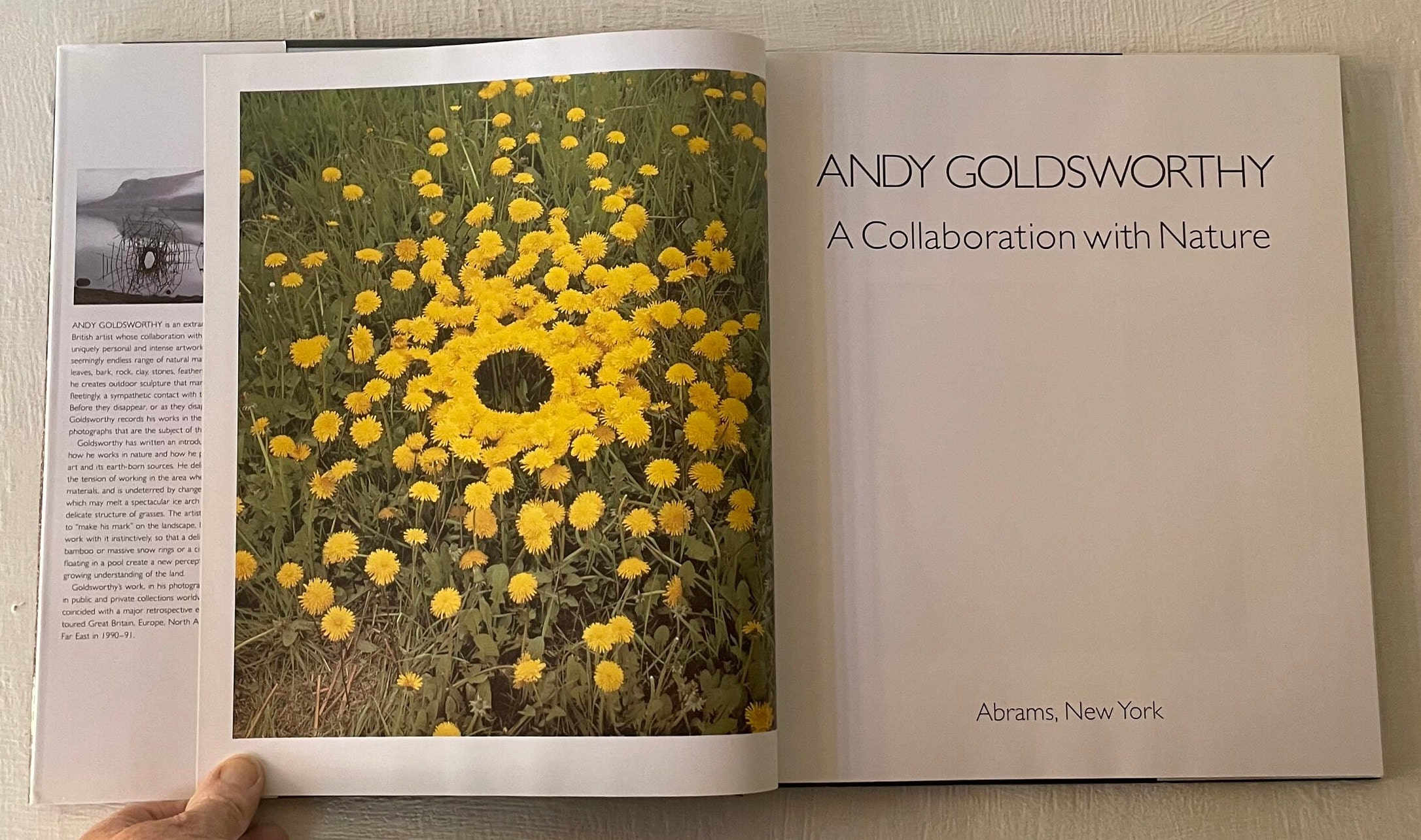 語学+参考書 Andy Goldsworthy: A Collaboration with Nature Andy Goldsworthy: A Collaboration with Nature: Goldsworthy