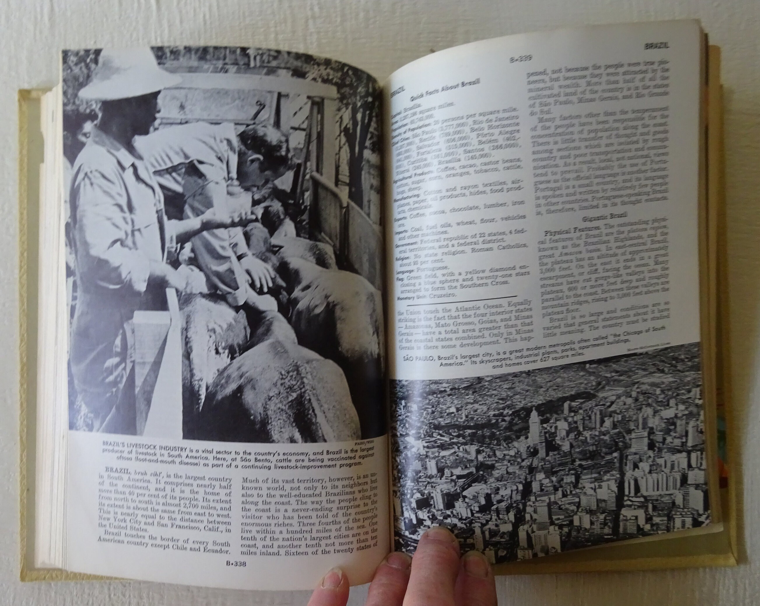 語学・辞書・学習参考書 American Educator Encyclopedia The American Educator Encyclopedia 1956 Complete Set