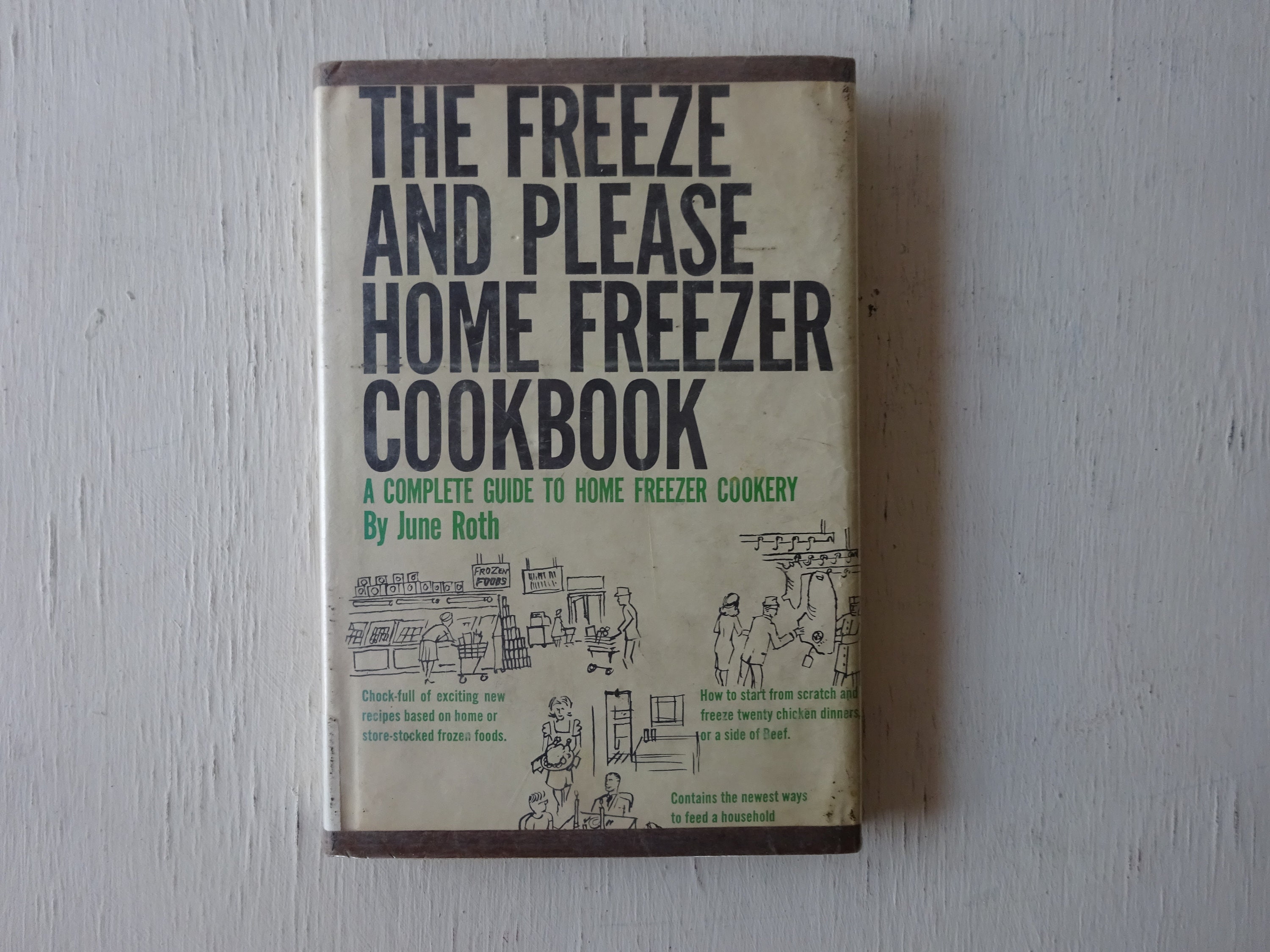 Vintage Cookbook, the Freeze and Please Home Freezer Book, June