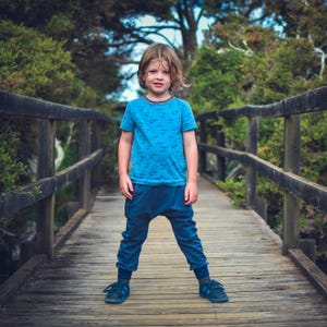 May include: A young person stands on a wooden bridge, wearing a blue t-shirt with a bird pattern, blue pants, and blue sneakers. The bridge has wooden railings and is surrounded by green trees.