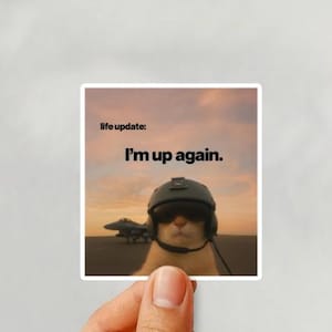 May include: Square sticker featuring a cat wearing a pilot helmet and sunglasses, with a jet in the background. The sticker has the text "life update: I'm up again." The background is a sunset.