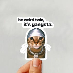 May include: A sticker featuring a cat wearing a silver durag and a diamond chain. The cat has brown and tan fur and is centered on a white background. The text "be weird twin, it's gangsta." is above the cat.
