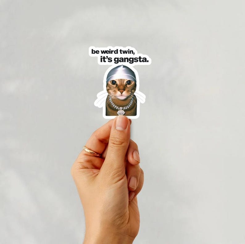 May include: A sticker featuring a cat wearing a silver durag and a diamond chain. The cat has brown and tan fur and is centered on a white background. The text "be weird twin, it's gangsta." is above the cat.