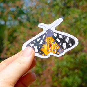 Peut inclure: Un autocollant découpé représentant une illustration de papillon de nuit avec des ailes à motifs noirs et blancs et une section inférieure orange vif avec des taches noires. Le papillon a une tête gris foncé et deux fines antennes.