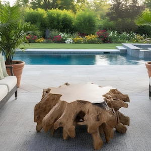 Puede incluir: Una mesa de centro exterior única con una base de raíz de madera natural y una superficie lisa de color claro. La mesa está colocada en un patio gris con una piscina y exuberante vegetación en el fondo. La mesa mide aproximadamente 122 cm de diámetro.