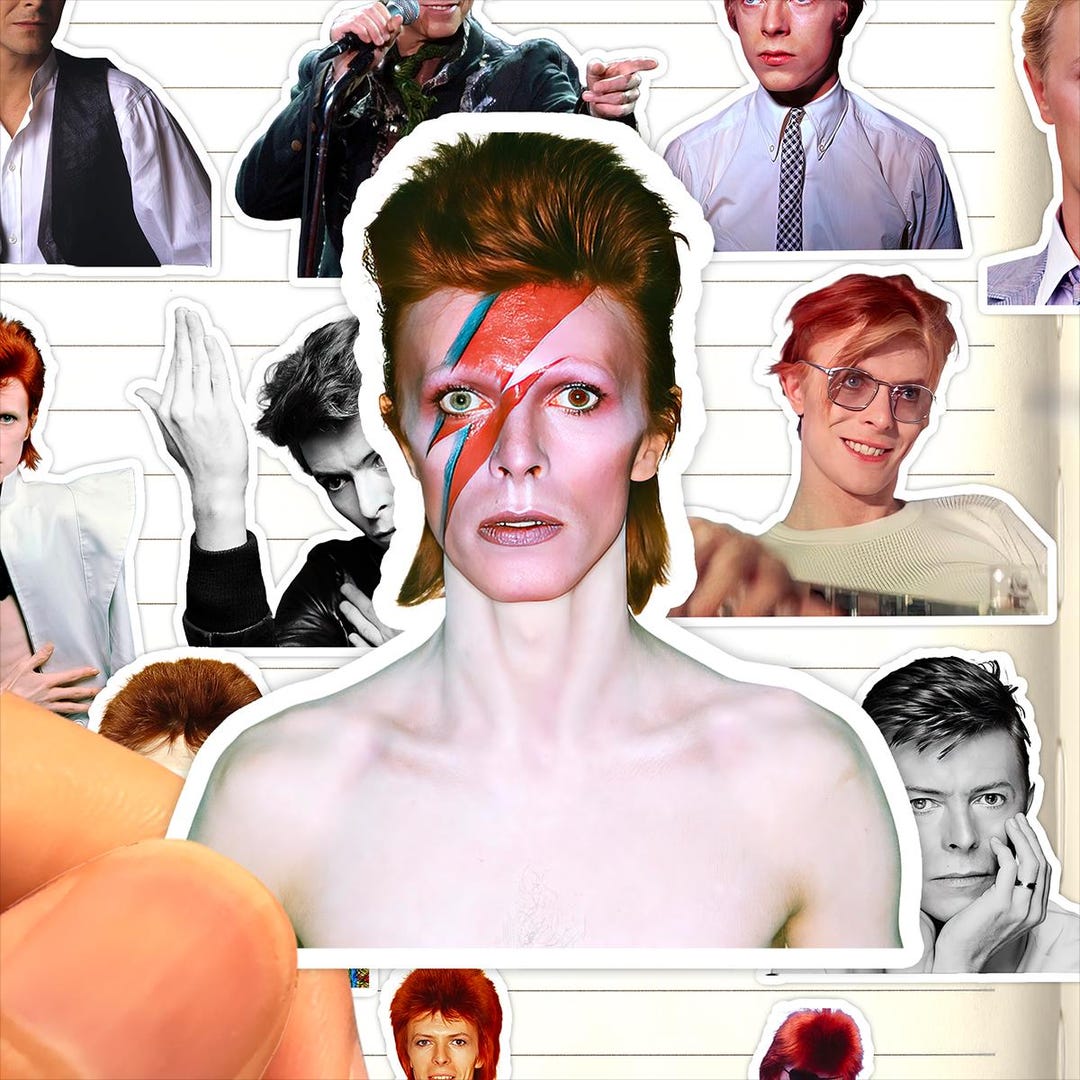 David Bowie Meme Sticker Pack 6pcs | Funny Waterproof Vinyl Stickers ...