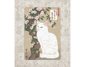 Animal Ukiyo-e Poster - White Cat and Cherry Blossoms | Japanese Ukiyo-e Style Art