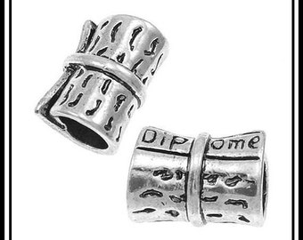 Group Sale ~ 3D GRADUATiON ~ Grad Diploma ~ UNIVERSiTY ~ Student ~ Antique Silver Plated Charm Bead ~ fits European Bracelets - MS