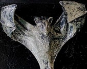 Soaring Fruit Bat Magnet, Hand Painted Resin Sculpture | Mythic Dark Art | Vampire Magnet for Fantasy and Gothic Decor